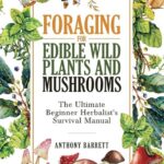How to Find Edible Plants in the Wild and Navigate Without Technology: The Ultimate Survival Guide