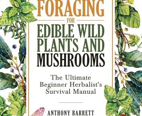 How to Find Edible Plants in the Wild and Navigate Without Technology: The Ultimate Survival Guide