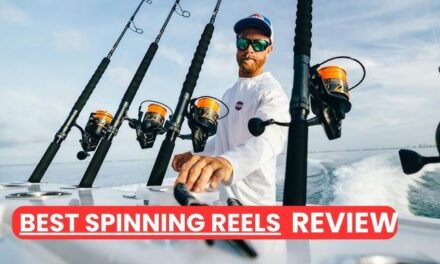 Top Best Spinning Reels of 2025: Ultimate Buying Guide for Anglers