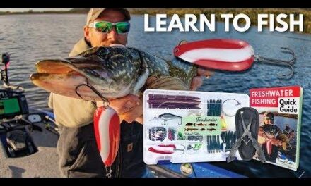 The Ultimate Freshwater Fishing Gear Guide for Beginners: Tips to Reel in More Catches
