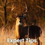 How to Track Deer: Essential Tips for Ethical and Effective Hunting Success