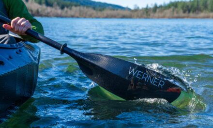 Best Kayak Paddle Reviews 2025: Find the Perfect Paddle for Your Water Adventures