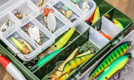 The Ultimate Guide to Choosing the Best Fishing Lures and Organizing Your Tackle Box for Success