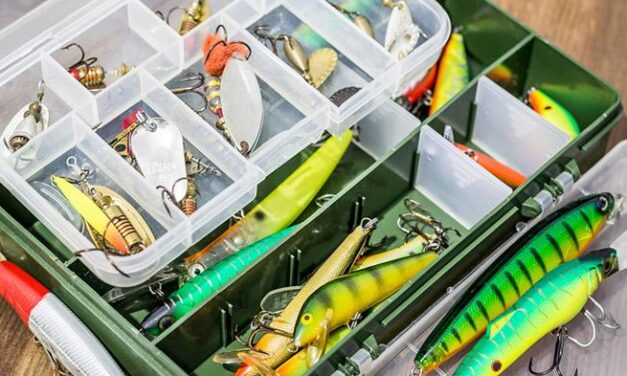 The Ultimate Guide to Choosing the Best Fishing Lures and Organizing Your Tackle Box for Success