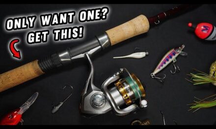 Top 5 Best Fishing Rod and Reel Combos for Every Angler to Catch More Fish