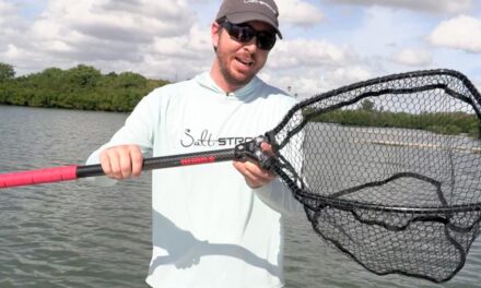 Fishing Net Reviews: Top Tips to Choose the Best Fishing Gear for Success